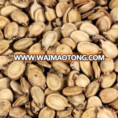 Melon Seeds/ Black Melon Seeds/ Water Melon Seeds